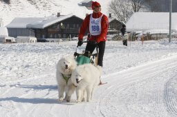 Lenk 2012 SM